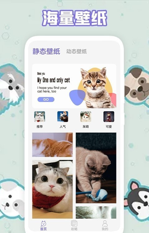 多多养猫助手APP安卓版下载