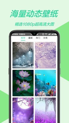 主题壁纸