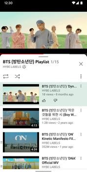 YouTube国内版