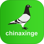 中国信鸽信息网