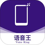 语音王