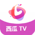 西瓜TVapp下载-西瓜TV安卓手机最新版下载
