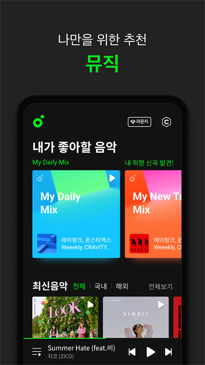 melon2024最新版