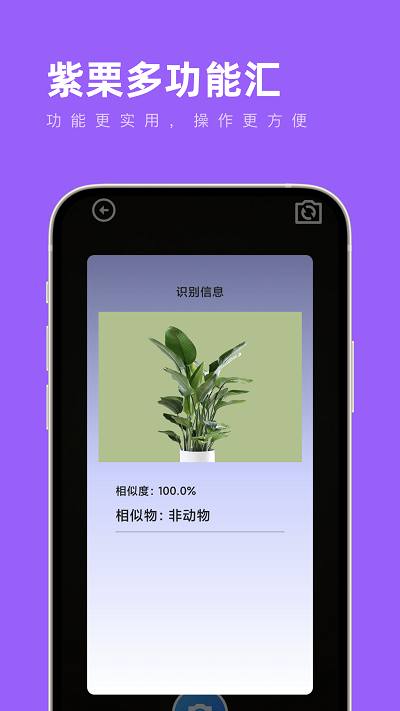 紫栗多功能汇功能强大实用性强手机工具