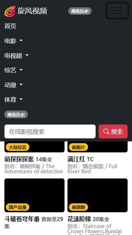 旋风影视2024最新版本